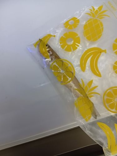 クサフグの釣果