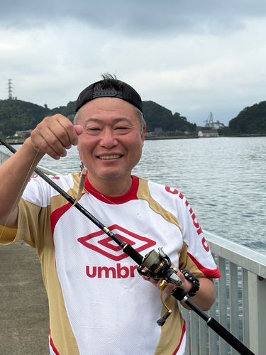 キスの釣果