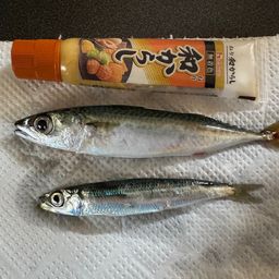 サバ