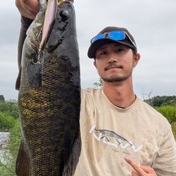 スモールマウスバス
