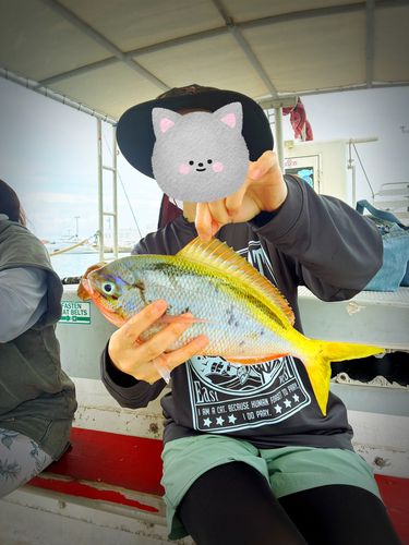 グルクンの釣果