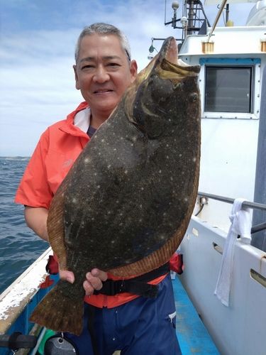 ヒラメの釣果