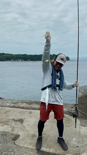 ソウダガツオの釣果
