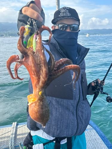 タコの釣果