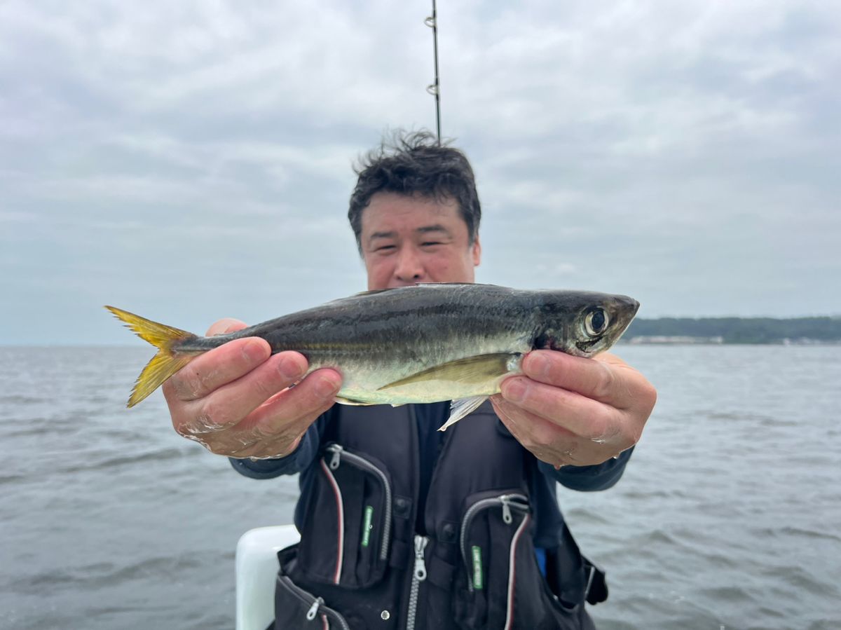政信丸さんの釣果 2枚目の画像