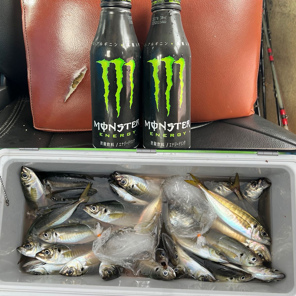 政信丸さんの釣果 3枚目の画像