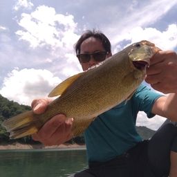 スモールマウスバス