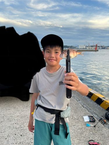 チャリコの釣果