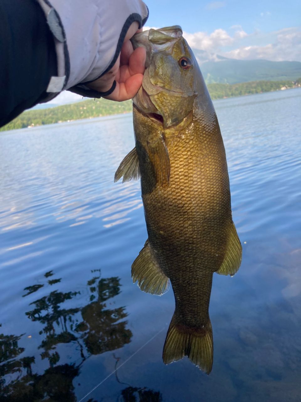 スモールマウスバス