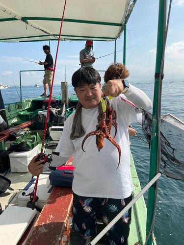 タコの釣果