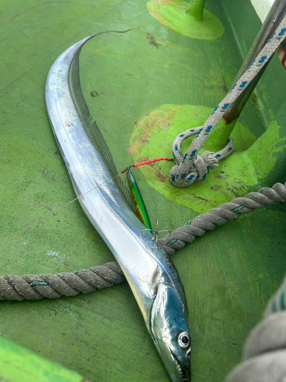 OJ0702さんの釣果 2枚目の画像