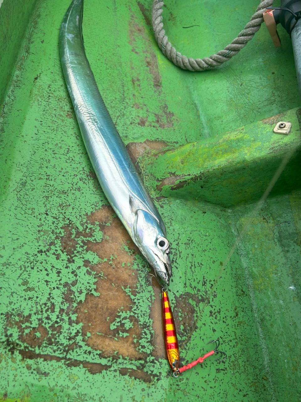 OJ0702さんの釣果 3枚目の画像