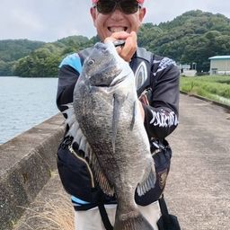 チヌ