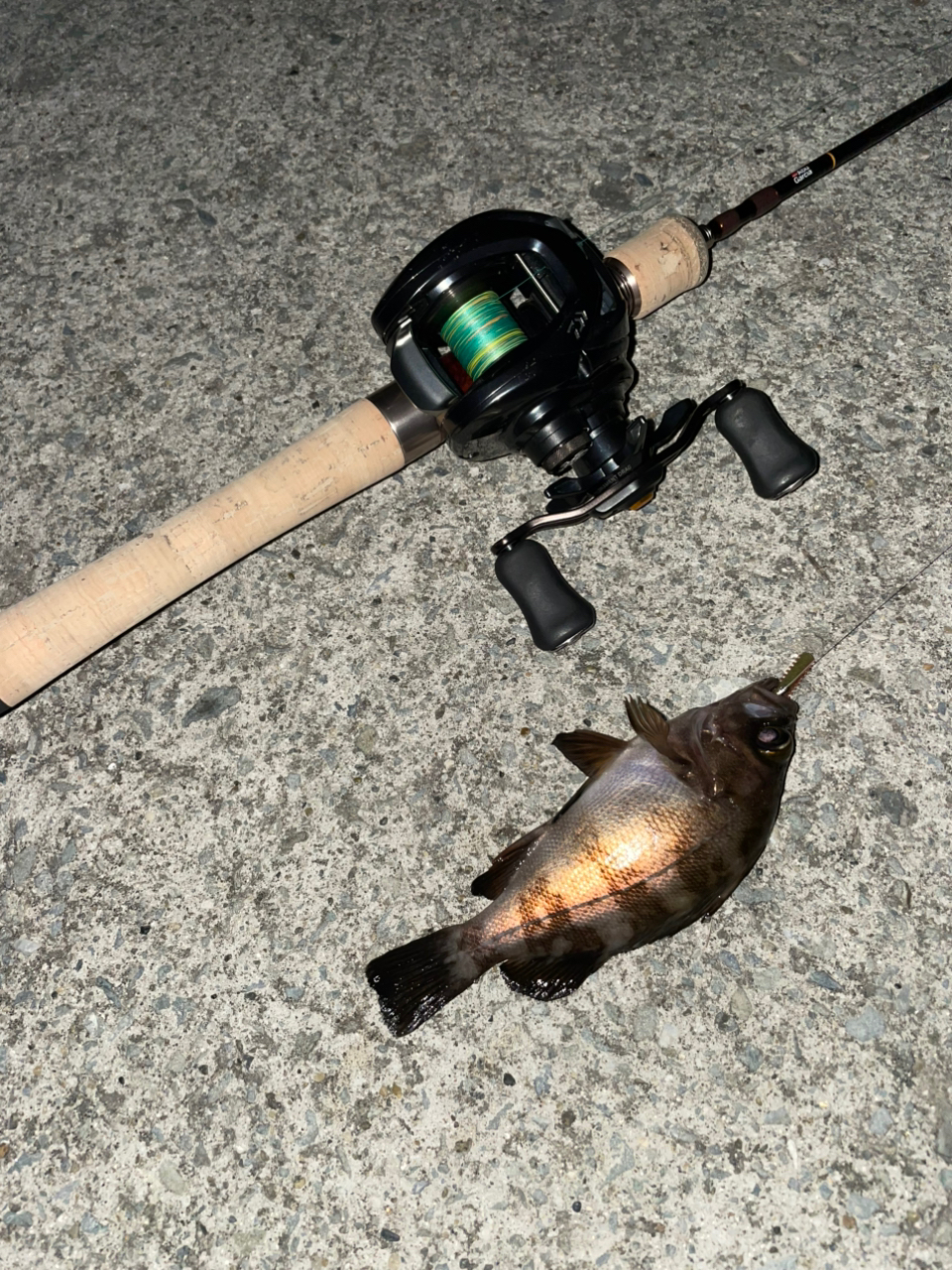AbuGarcia トラウトフィールド TFC-502Lの最安値・インプレ