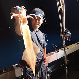 ヤリイカ