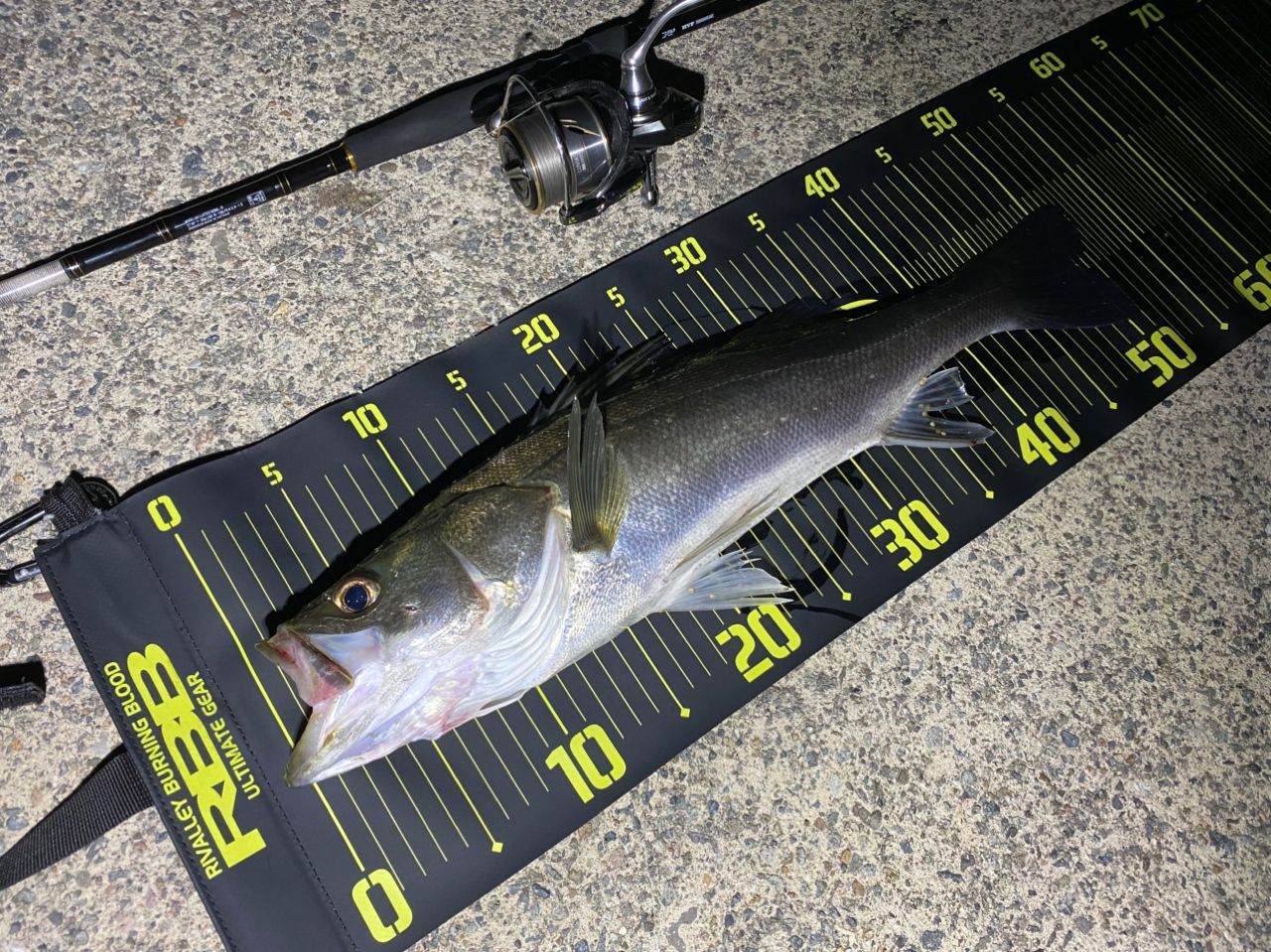 DAIWA 19ラテオ R 90MLの最安値・インプレ・釣果 | 本音の口コミ