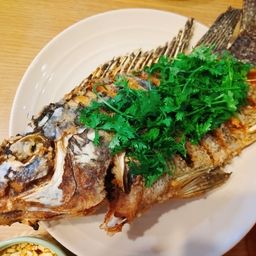 ナイルティラピア