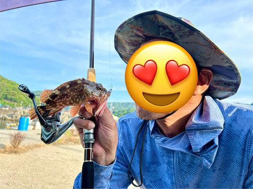 ガシラの釣果