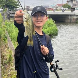 ラージマウスバス