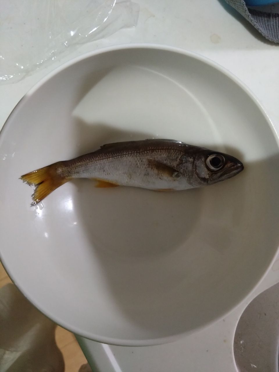 ムツ