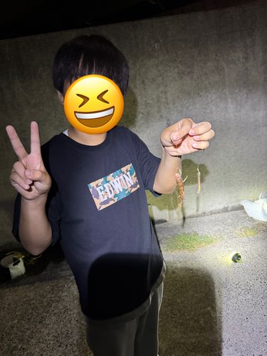 釣果