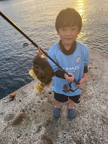カワハギの釣果