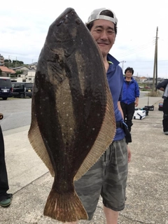 ヒラメの釣果