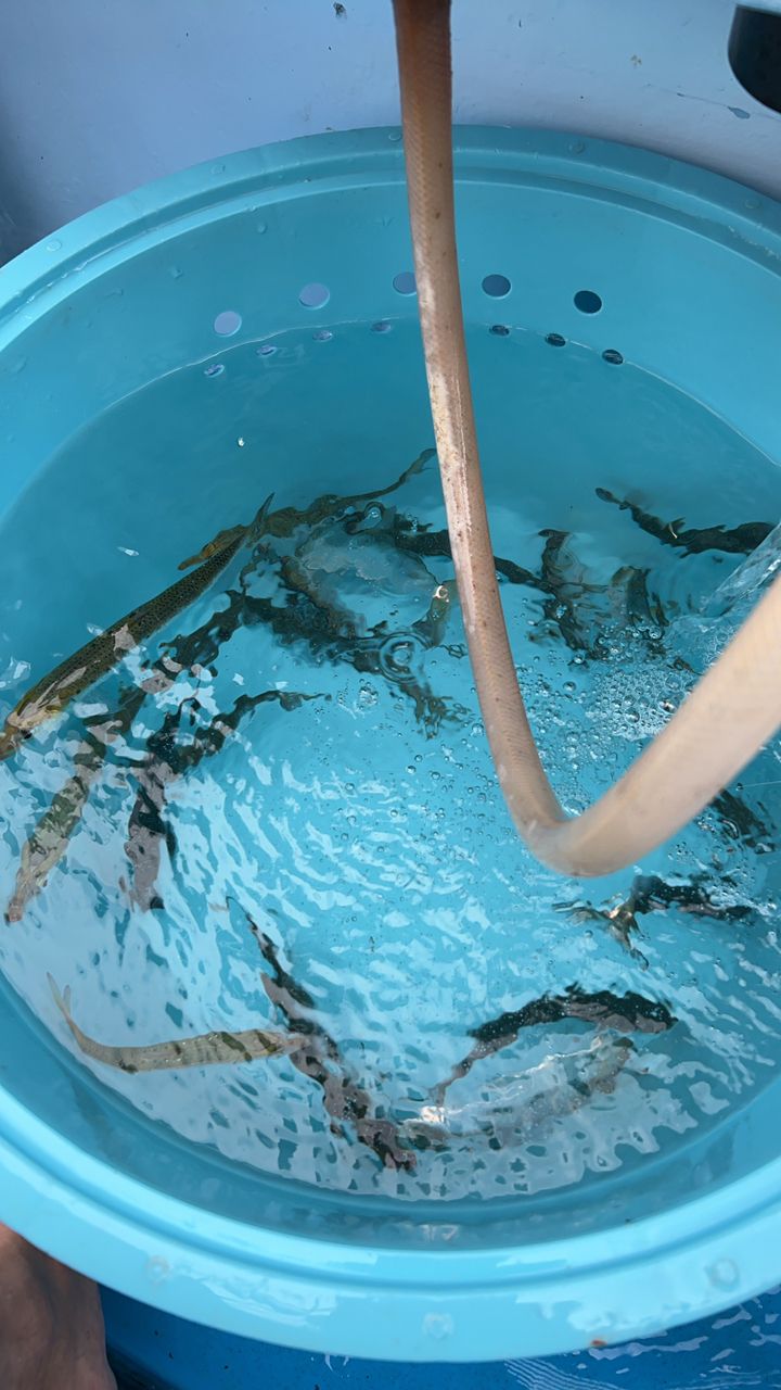 ビンビン師匠さんの釣果 3枚目の画像