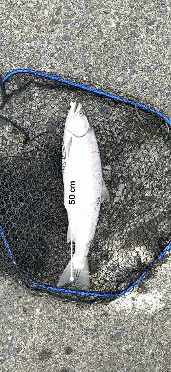 SHIMANO ルナミス S120M3 SHIMANO ルナミス S120M3 SHIMANO 20ルナミス S120M-3の最安値