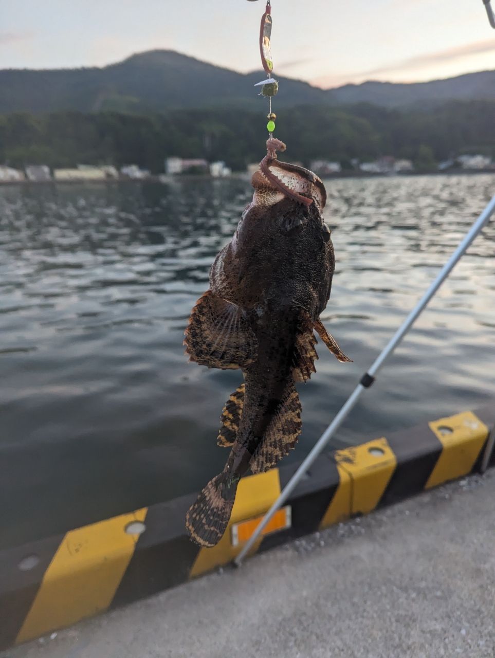アナゴ
