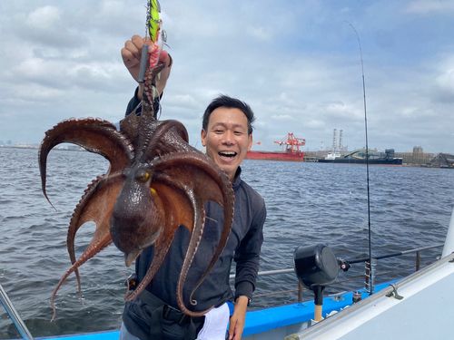 マダコの釣果