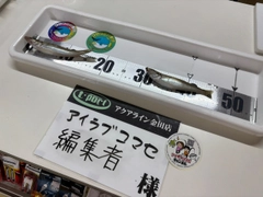 キスの釣果