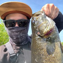 スモールマウスバス