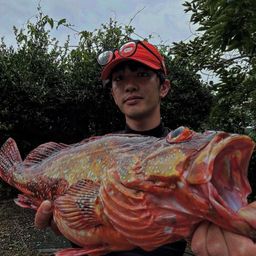 ウッカリカサゴ