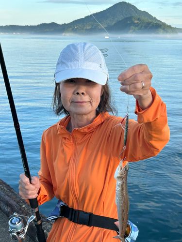 エソの釣果