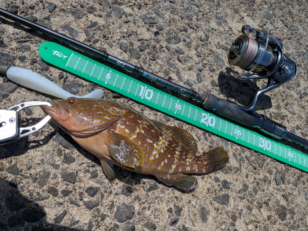 DAIWA 23エメラルダス ストイスト ST（アウトガイドモデル
