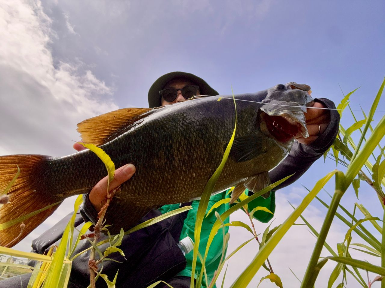 スモールマウスバス