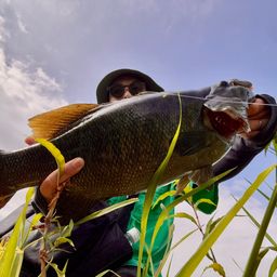 スモールマウスバス