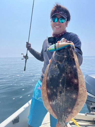ヒラメの釣果