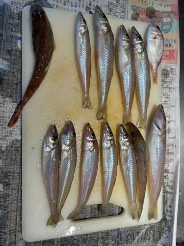 釣果