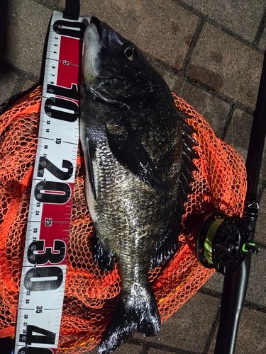 釣果