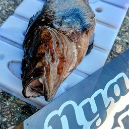クロソイ