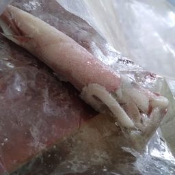 シロイカ