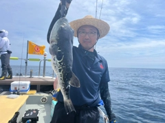 トラフグの釣果