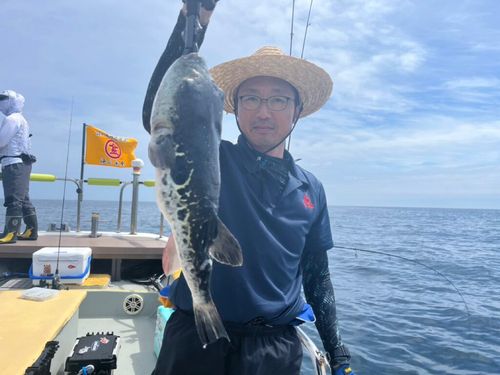 トラフグの釣果