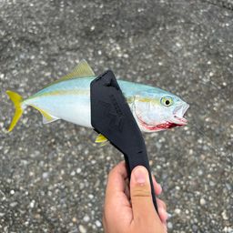 ツバス