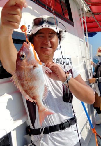 マダイの釣果