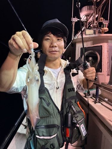 ヤリイカの釣果
