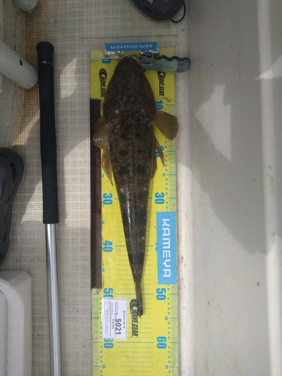 4649よろしくさんの釣果 1枚目の画像