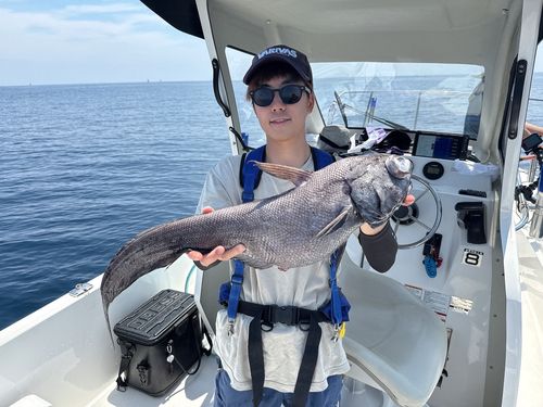 イバラヒゲの釣果
